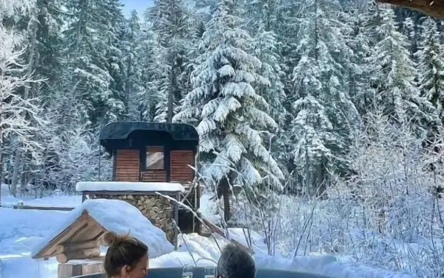 Hotel Ermitage Kandersteg