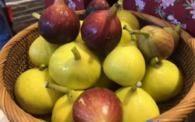 Deng Stone House Pastoral Resort