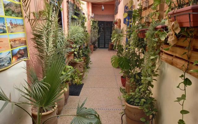 Dar Rmila 4