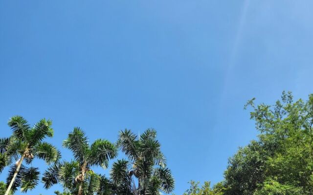 Travelers Apartamentos Y Suites Cali Castellon