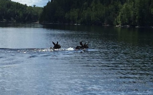 Air-Dale Fishing and Hunting