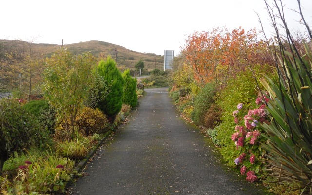 Cregg House B&B