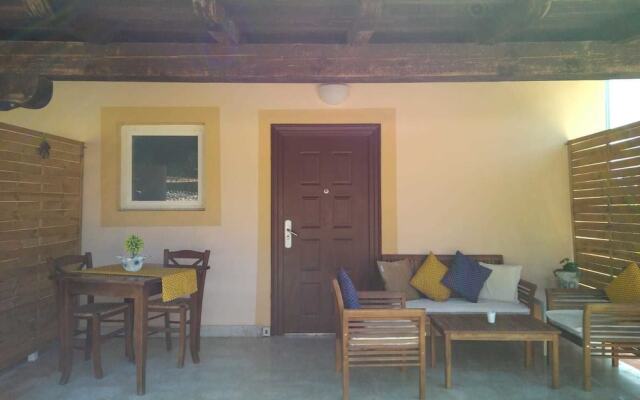 Il giardino degli ulivi