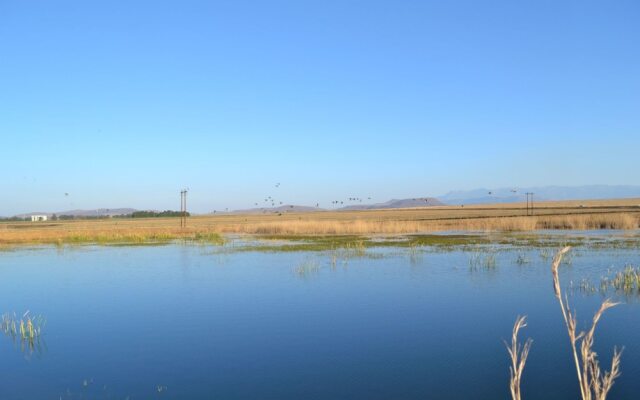 Bingelela Lodge