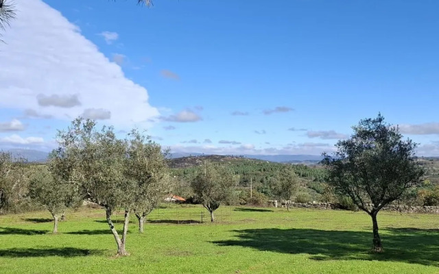 Rustic Terrace2 Bedrooms Farm House