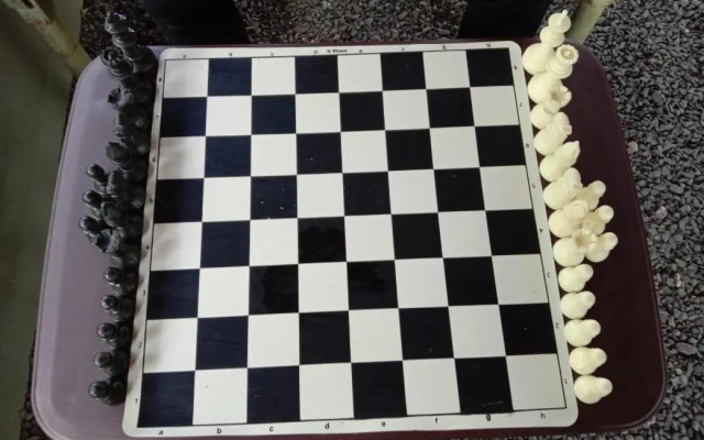 Lion Signature Family Resort