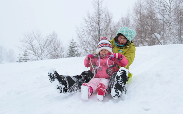 The Green Leaf Niseko Village