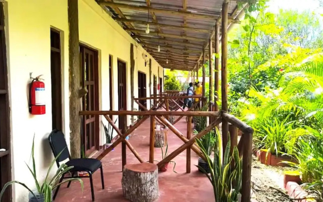zanzllywood hotel and apartments