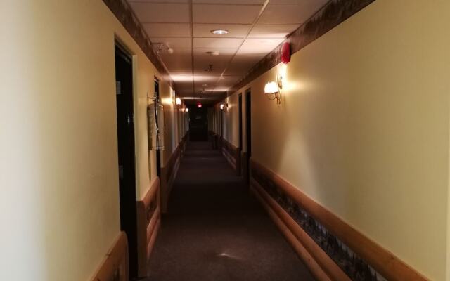 Northern Motor Inn