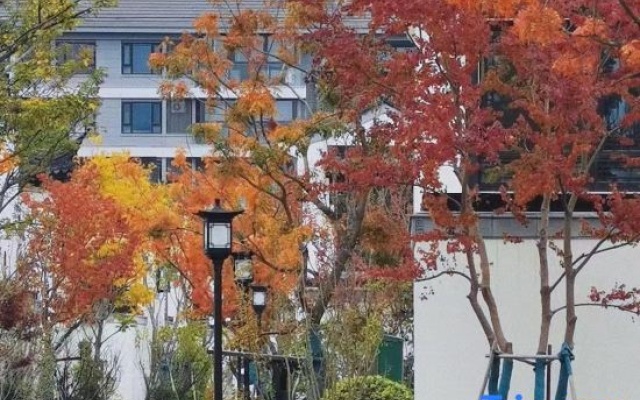 Dandan’s B&B — 2-star hotel in Nantong