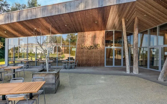 Elegant Nature Retreat