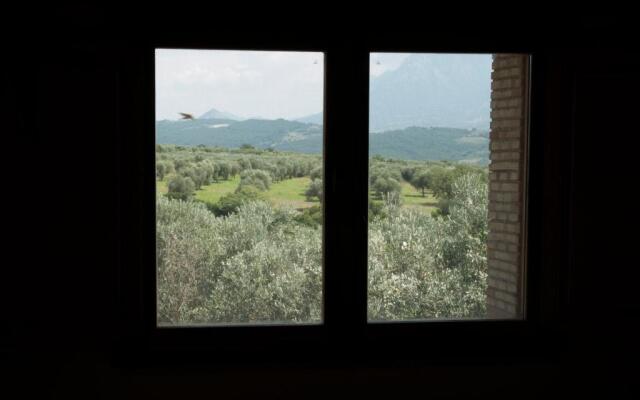 Rifugio tra gli Ulivi B&B