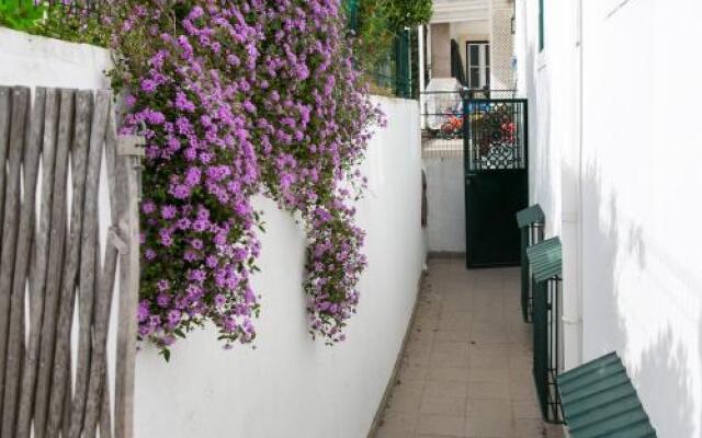 Dalma Flats - Garden