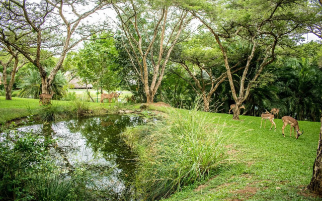 Hoyo Hoyo 573 Kruger Park Lodge