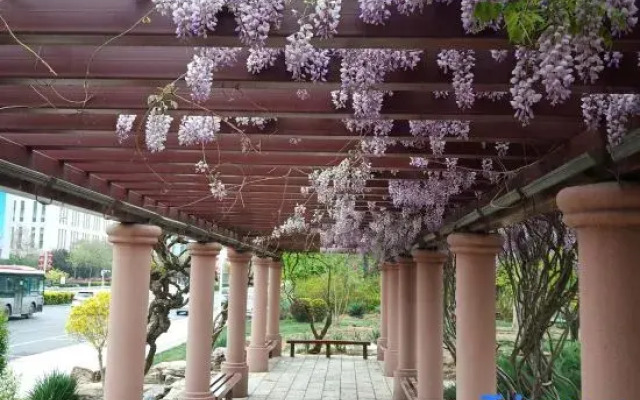 Xindonghui Apartment