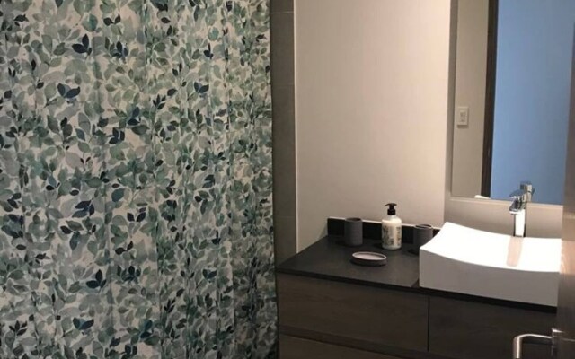 New And Luxurious Department Latitude 1907 Polanco