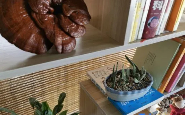 Shanghai Guixin Xiaozhu Homestay – Outside – Shanghai