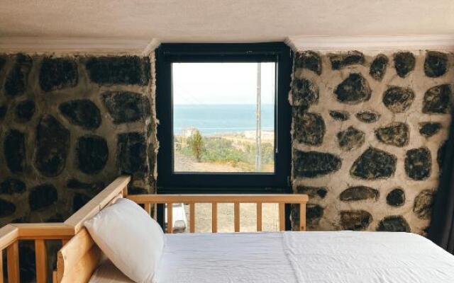 Greenlife Dag Evleri