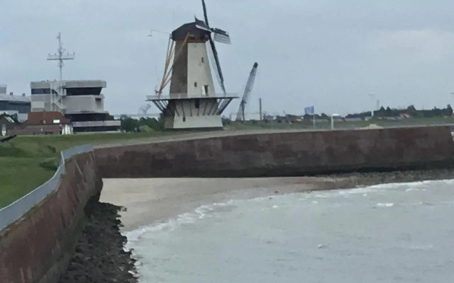 B & B Rosamie