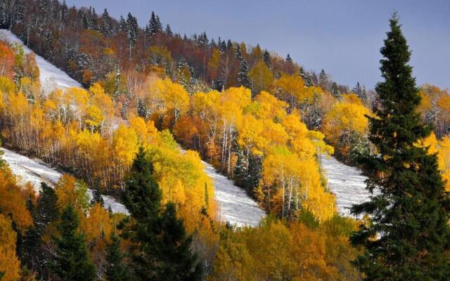 Chalets Spa Canada