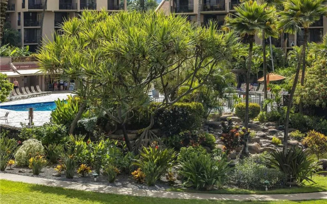 Kamaole Sands 02-205 - 1 Br Condo