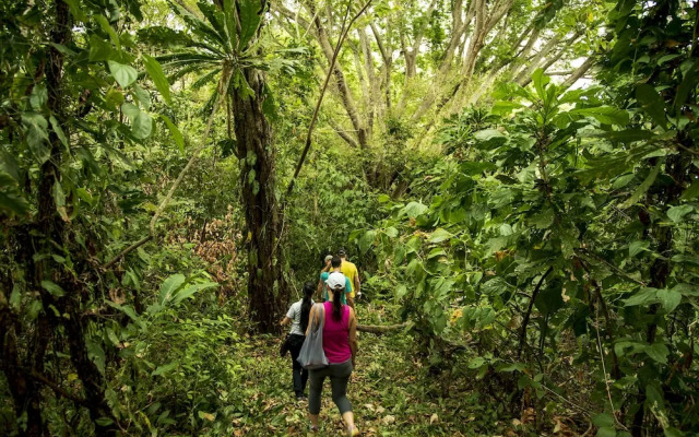 Isla Palenque Member of the Cayuga Collection