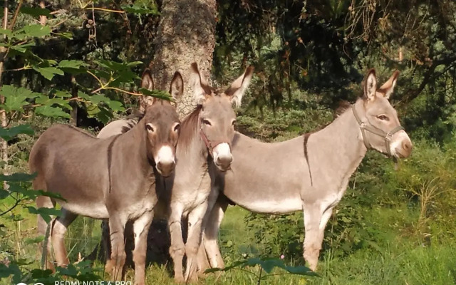 Re(S)Source (Adults Only)