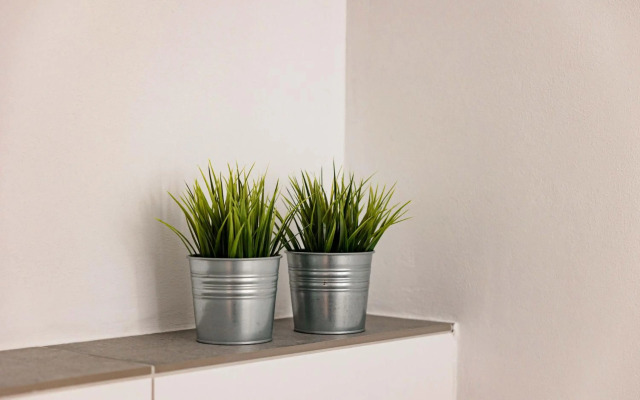 Ferienwohnung Kurpark Brilon am Rothaarsteig