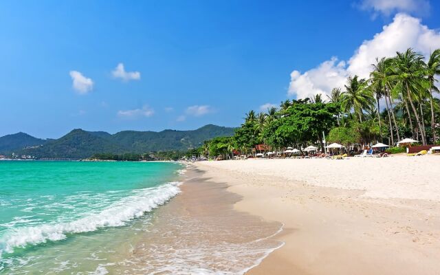 Bodega Koh Samui - Adults Only