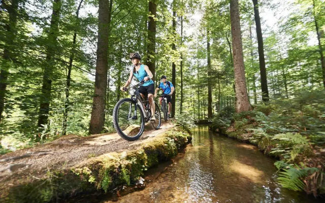 Ferienhotel Hubertus