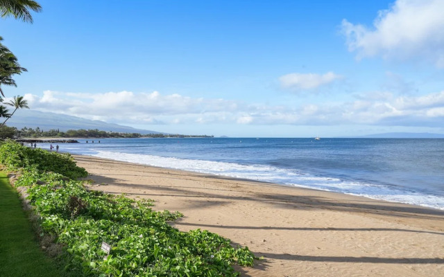 Maalaea Surf A6