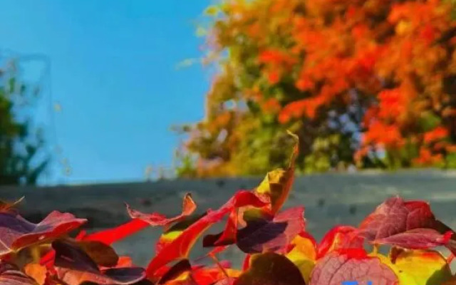 Beijing Wu frost mountain residence inn