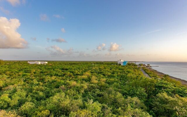 The Landmark of Cozumel