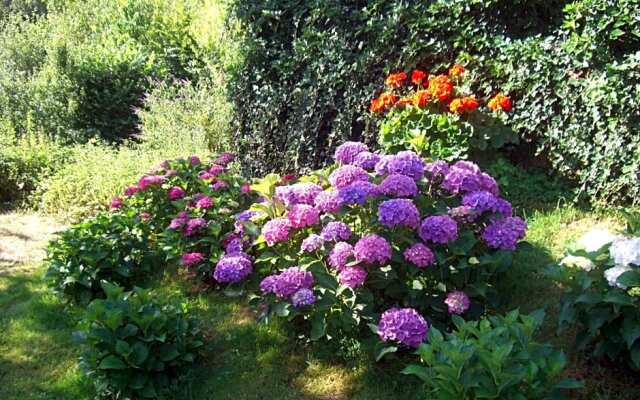 Hotel-Restaurant Burg-Ramstein