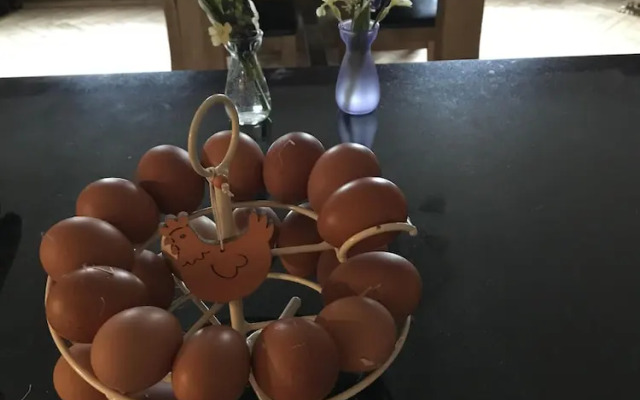 Arfryn House Bed and Breakfast