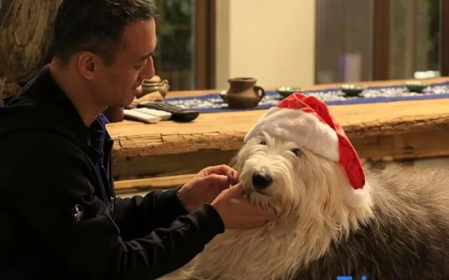 Jiaochangwei Yipin Hanshe Homestay – People – Shenzhen
