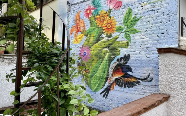 Mi Zona Lodging Coyoacán