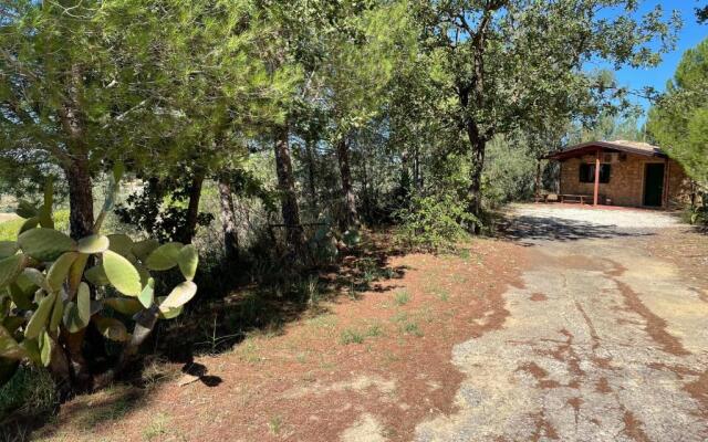 Wonderful house in the heart of Sicily
