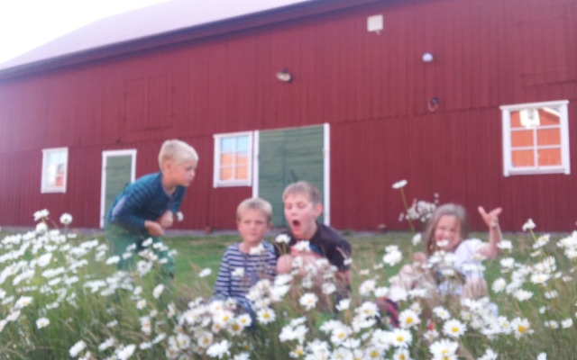 Brunnsta Gård