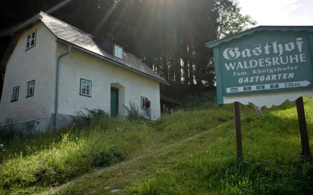 Zinkhaus - Waldheimat Alpl