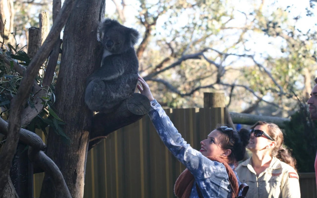 Kangaroo Island Backpackers