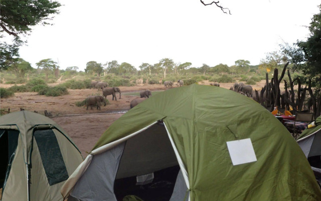 Liya Lodge and Campsite