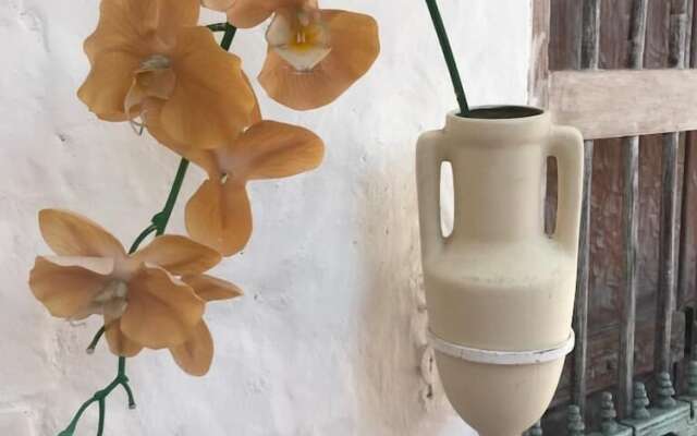 San Angel Hotel Boutique