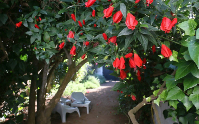 El Manzar