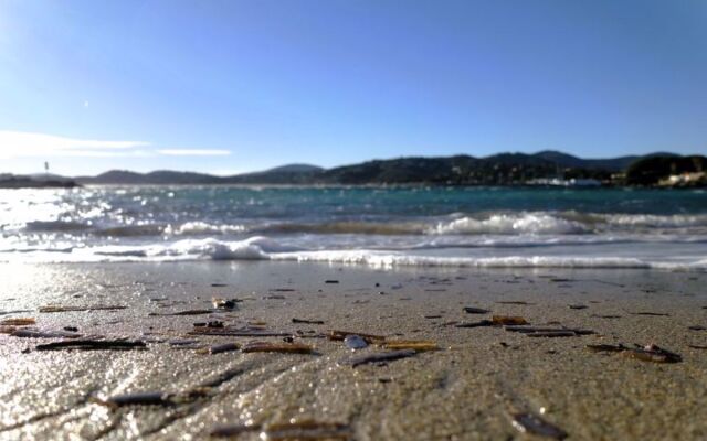 Les Jardins dYs 39171