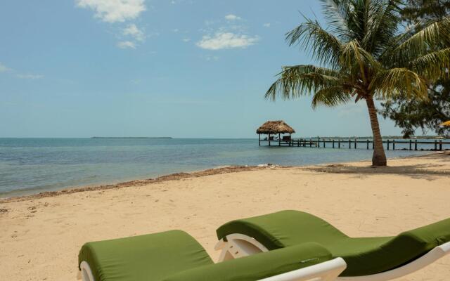 Villa Jammin Gecko in Belize City