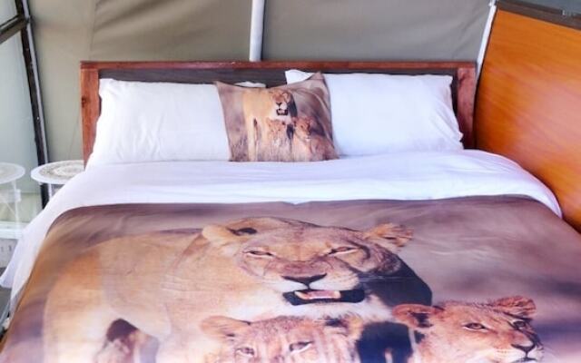 Amanya 2-rooms Lioness Family