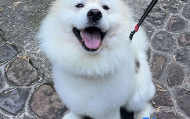 Yee Choi Hotels & Resorts