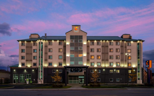 Comfort Hotel