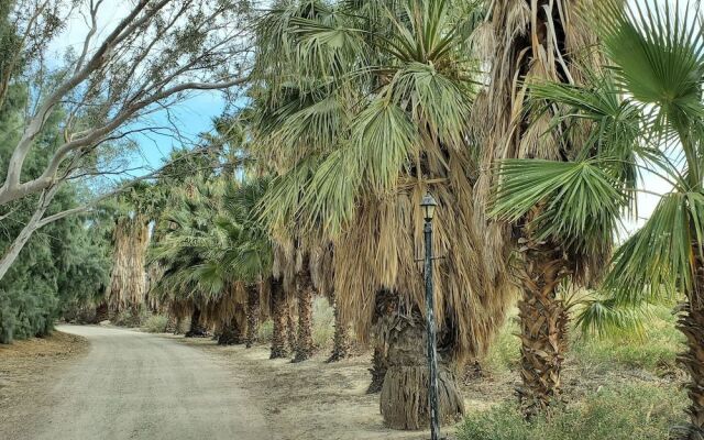 Bubbling Wells Oasis